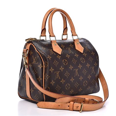 louis vuitton speedy 25 bag organizer|louis vuitton speedy 25 price.